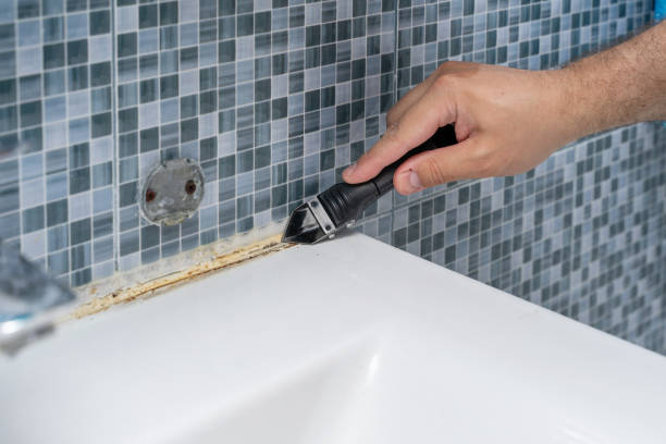Best White Mold Remediation in Centerville, UT